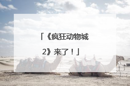 《疯狂动物城2》来了！