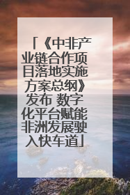 《中非产业链合作项目落地实施方案总纲》发布 数字化平台赋能非洲发展驶入快车道
