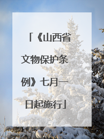 《山西省文物保护条例》七月一日起施行