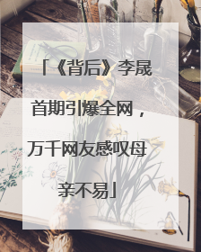 《背后》李晟首期引爆全网，万千网友感叹母亲不易