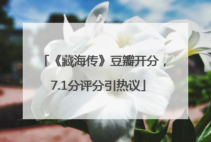《藏海传》豆瓣开分，7.1分评分引热议