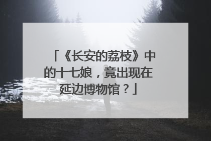 《长安的荔枝》中的十七娘，竟出现在延边博物馆？