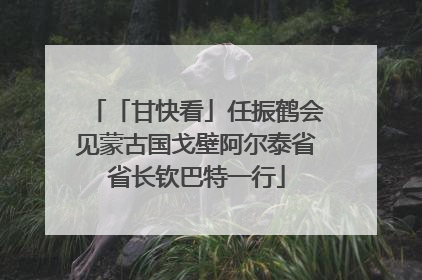 「甘快看」任振鹤会见蒙古国戈壁阿尔泰省省长钦巴特一行