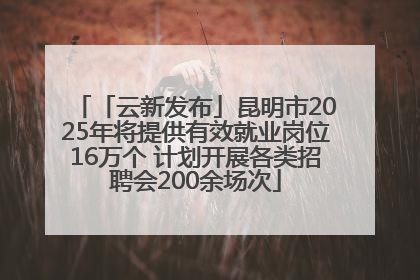 「云新发布」昆明市2025年将提供有效就业岗位16万个 计划开展各类招聘会200余场次