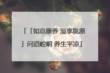 「如意康养 漫享陇原」问道崆峒 养生平凉