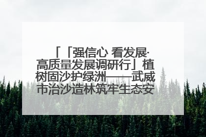 「强信心 看发展·高质量发展调研行」植树固沙护绿洲——武威市治沙造林筑牢生态安全屏障见闻