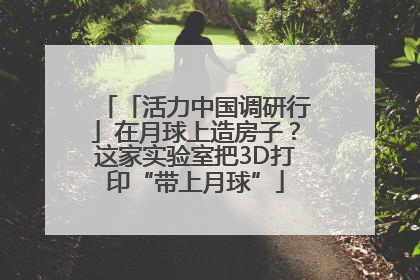 「活力中国调研行」在月球上造房子？这家实验室把3D打印“带上月球”
