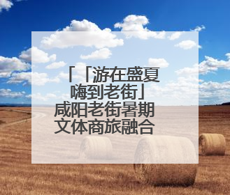 「游在盛夏 嗨到老街」咸阳老街暑期文体商旅融合促消费活动周预告来了！