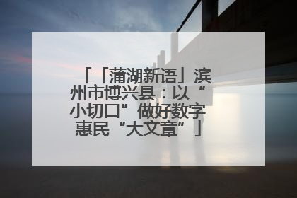 「蒲湖新语」滨州市博兴县：以“小切口”做好数字惠民“大文章”