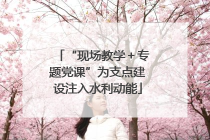 “现场教学＋专题党课”为支点建设注入水利动能