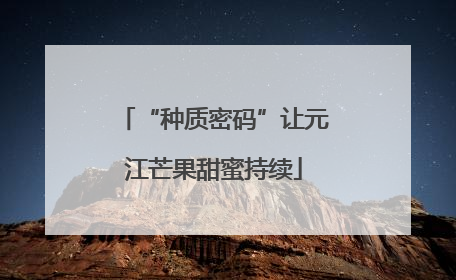“种质密码”让元江芒果甜蜜持续