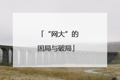 “网大”的困局与破局
