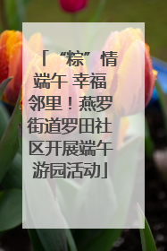 “粽”情端午 幸福邻里！燕罗街道罗田社区开展端午游园活动