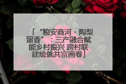 “粮安商河・陶梨留香”：三产融合赋能乡村振兴 跨村联建绘就共富画卷