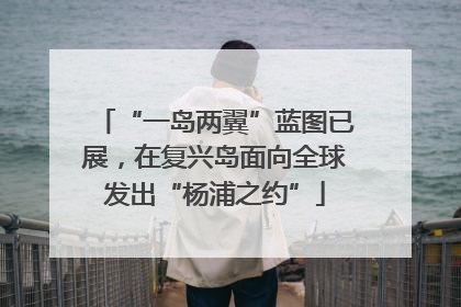 “一岛两翼”蓝图已展，在复兴岛面向全球发出“杨浦之约”