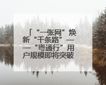 “一张网”焕新“千条路”——“粤通行”用户规模即将突破600万