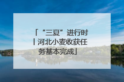 “三夏”进行时丨河北小麦收获任务基本完成