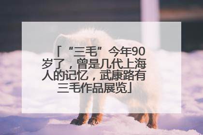 “三毛”今年90岁了，曾是几代上海人的记忆，武康路有三毛作品展览