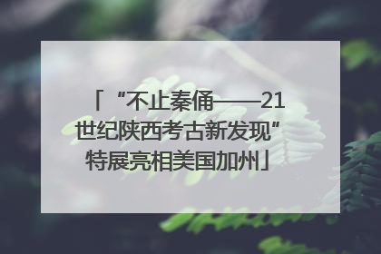 “不止秦俑——21世纪陕西考古新发现”特展亮相美国加州