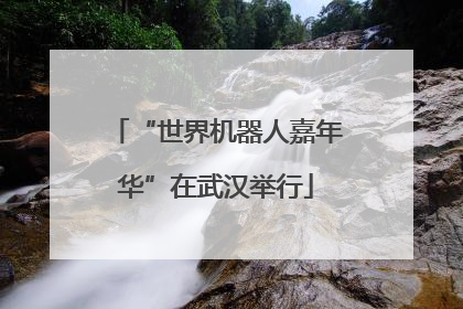“世界机器人嘉年华”在武汉举行