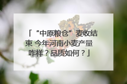 “中原粮仓”麦收结束 今年河南小麦产量咋样？品质如何？