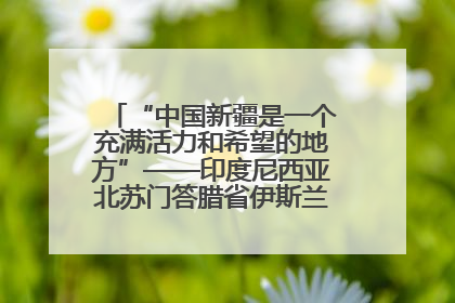“中国新疆是一个充满活力和希望的地方”——印度尼西亚北苏门答腊省伊斯兰教代表团参访新疆