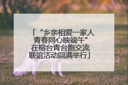 “乡亲相爱一家人 青春同心映端午” 在榕台青台胞交流联谊活动圆满举行