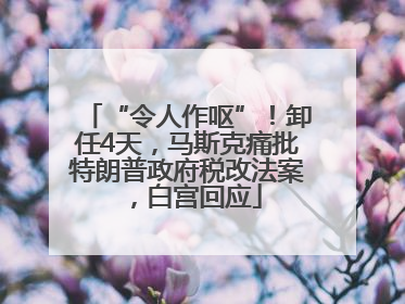 “令人作呕”！卸任4天，马斯克痛批特朗普政府税改法案，白宫回应
