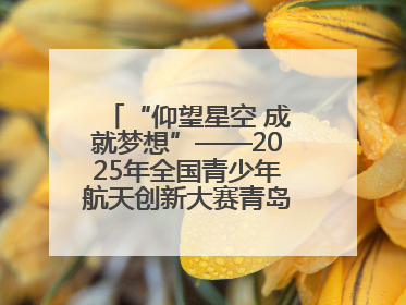 “仰望星空 成就梦想”——2025年全国青少年航天创新大赛青岛选拔赛成功举办