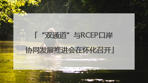 “双通道”与RCEP口岸协同发展推进会在怀化召开
