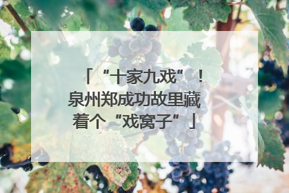 “十家九戏”！泉州郑成功故里藏着个“戏窝子”