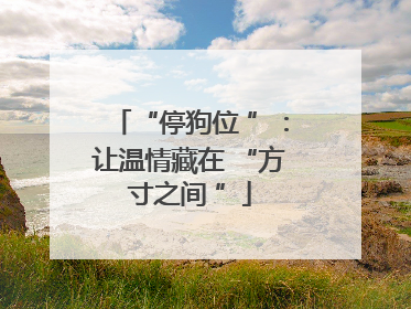 “停狗位 ”：让温情藏在 “方寸之间 ”