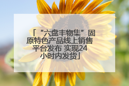 “六盘丰物集”固原特色产品线上销售平台发布 实现24小时内发货
