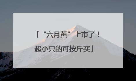 “六月黄”上市了！超小只的可按斤买
