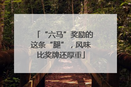 “六马”奖励的这条“腿”，风味比奖牌还厚重