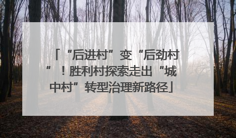 “后进村”变“后劲村”！胜利村探索走出“城中村”转型治理新路径