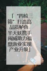 “四检三筛”打造高品质鲈鱼 半天妖携手闽威助力福鼎渔业实现产业升级