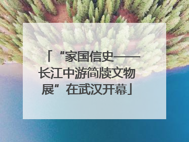 “家国信史——长江中游简牍文物展”在武汉开幕