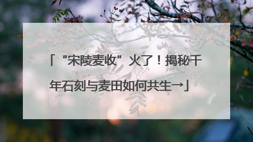 “宋陵麦收”火了！揭秘千年石刻与麦田如何共生→
