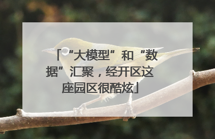 “大模型”和“数据”汇聚，经开区这座园区很酷炫