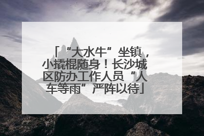 “大水牛”坐镇，小撬棍随身！长沙城区防办工作人员“人车等雨”严阵以待