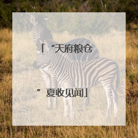 “天府粮仓”夏收见闻