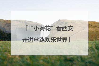 “小葵花”看西安走进丝路欢乐世界