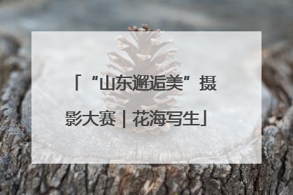 “山东邂逅美”摄影大赛｜花海写生