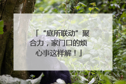“庭所联动”聚合力，家门口的烦心事这样解！