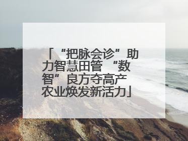 “把脉会诊”助力智慧田管 “数智”良方夺高产 农业焕发新活力