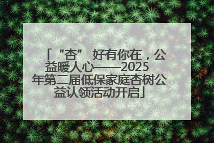 “杏” 好有你在，公益暖人心——2025 年第二届低保家庭杏树公益认领活动开启
