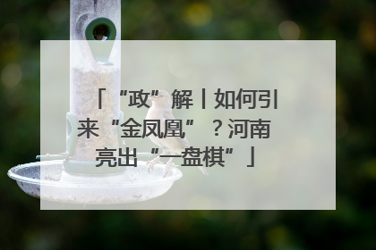 “政”解丨如何引来“金凤凰”？河南亮出“一盘棋”