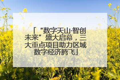 “数字天山·智创未来”盛大启幕，三大重点项目助力区域数字经济腾飞
