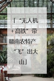 “无人机＋高铁”带赣南农特产“飞”出大山